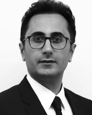 Mohsen Khalily