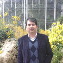 Alireza Farid