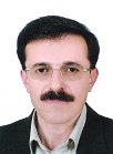 Javad Mirnajafi-Zadeh