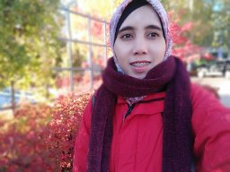 Sulistyawati Sulistyawati