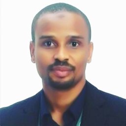 Mohammed F. Hamza