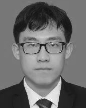 LI Taiwei