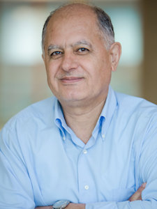 Jamal Musaev