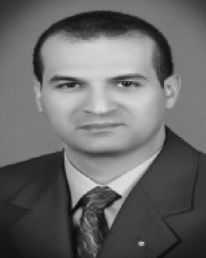 Ahmed M. Alzohairy