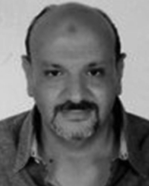 Tarek Allam
