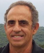 Dov Avigad