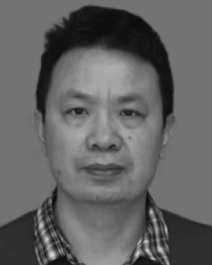 Hai Tan