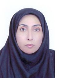 Nozar Seyedeh Laili Mohebbi