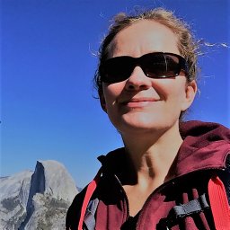 Paula J. Fornwalt