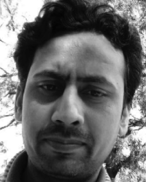 Anees Haider