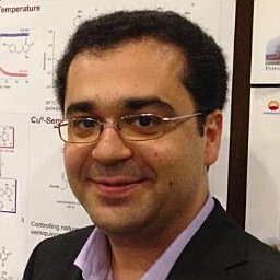 Mohammad S. Askari