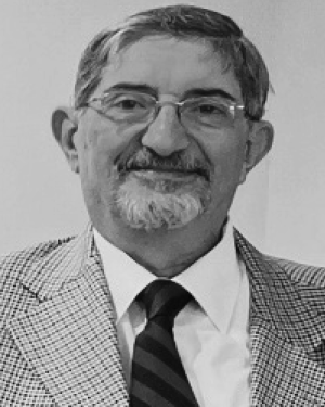 Hassanein H. Amer