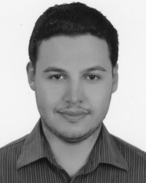 Amr A. El-Sherif