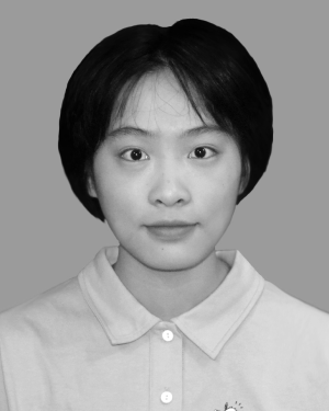 Huimin Zeng