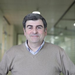 Vahagn H. Mikaelian