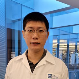 Wei Zhou