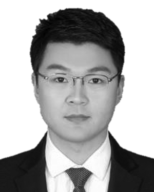 Taowen Cui
