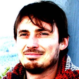 Vladimir Verner