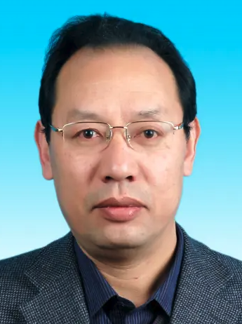 Wantong Li