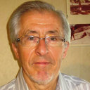 Pier-Paolo Saviotti