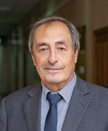 Ruslan Z. Valiev