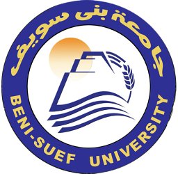 Mansour H. Mohamed