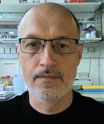 Taras Valovka