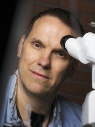 Per Uhlen
