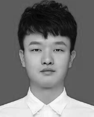 Shuai  Yuan