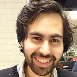 Ali A. Zaidi