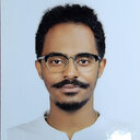 Daniel N. Mengesha