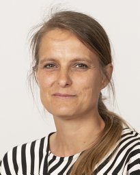 Ilse Verdiesen