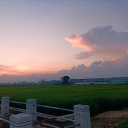 Zhao Zhang