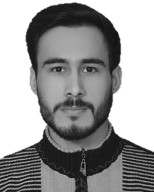 Musadiq Hussain