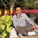 Peng Wang