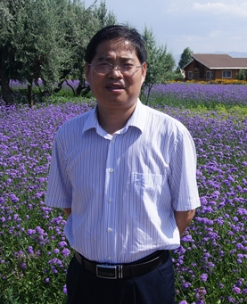 Qingying Sun