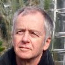Michel Volovitch