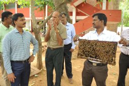 Suresh kandagal Veerabhadrappa
