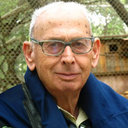 Dan Bowman