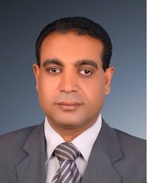 Salah A. Abdel-Aziz