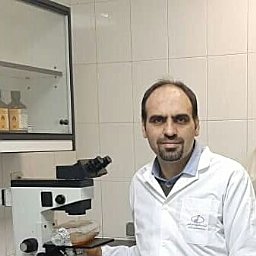 Saeid Fathi