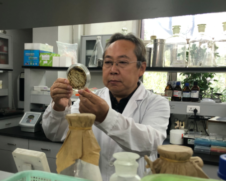 ZeHua Zhang