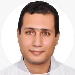 Mohamed A Elmonem
