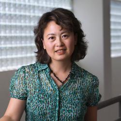 Y. Connie Yuan