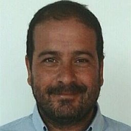 Sergio R. Roiloa