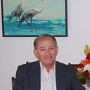 Leonid Grinis