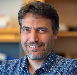Alireza Baghbanan