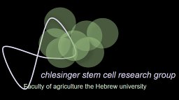 Schlesinger Sharon