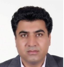 Alizadeh Hossein