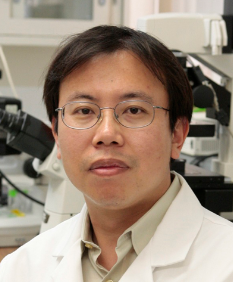 Hui Sun